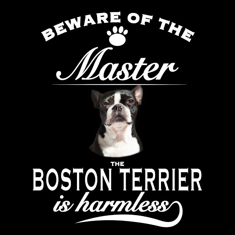 Beware of the master, harmless Boston Terrier