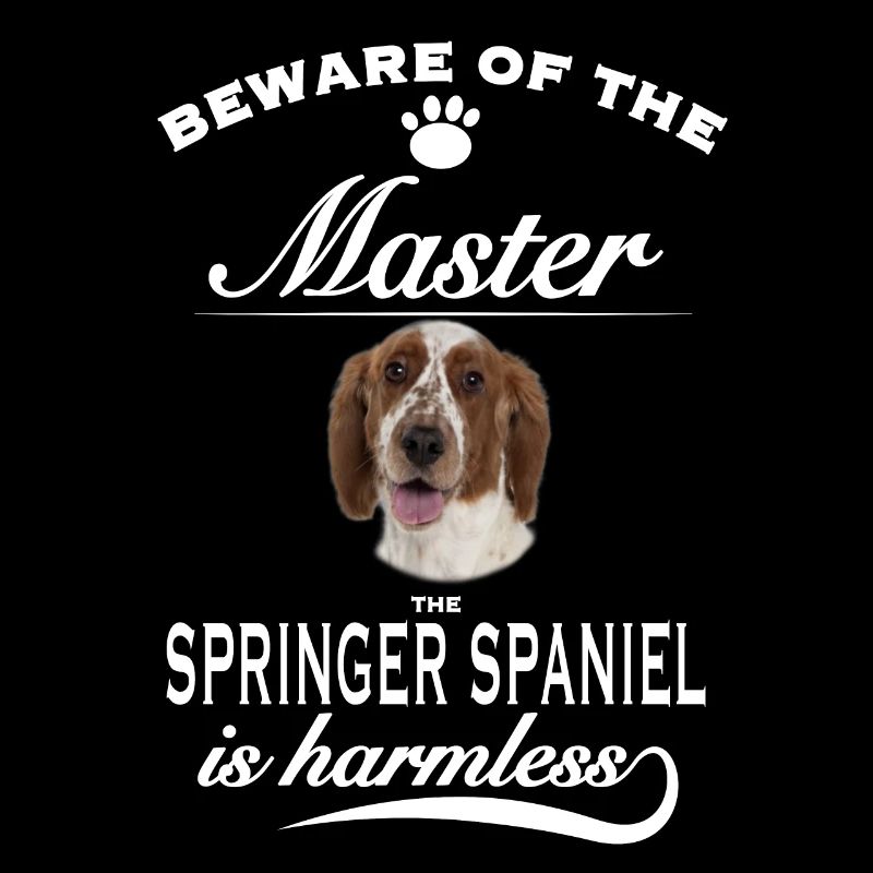 Beware of the master, harmless Springer Spaniel