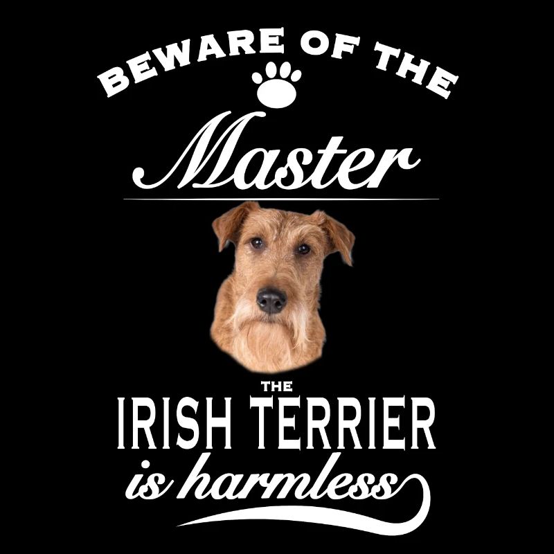 Beware of the master, harmless Irish Terrier