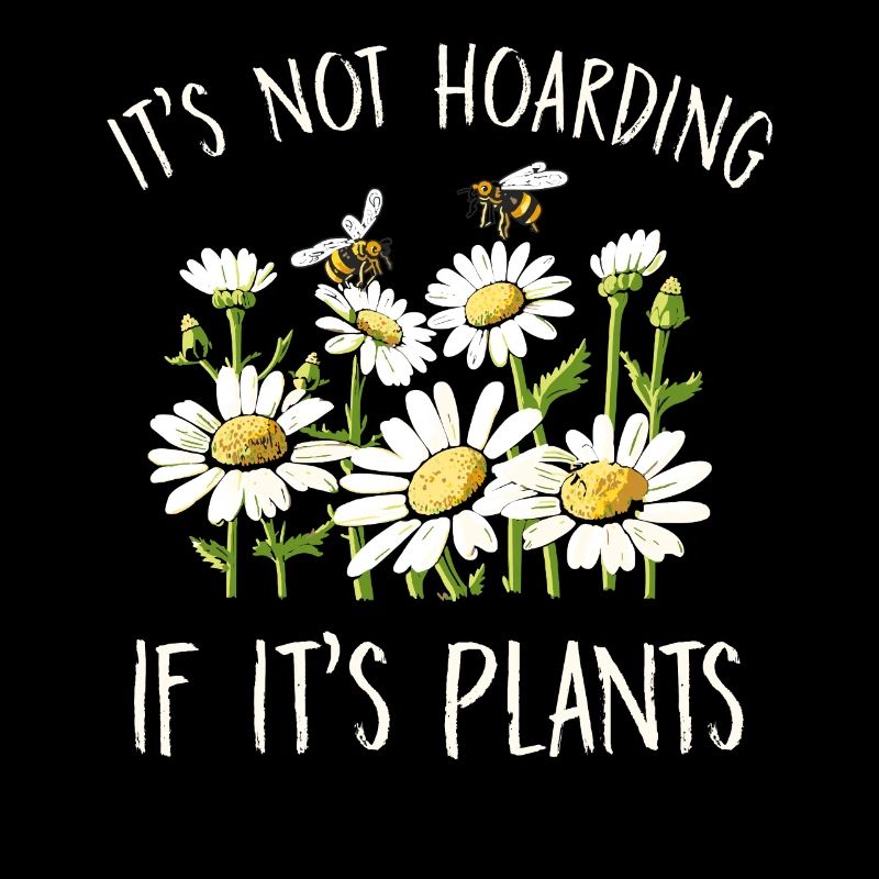 Margeriten Gänseblümchen Sommer Gänseblümchen Blumengarten