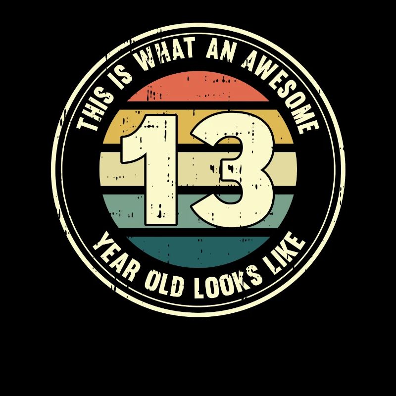 13. Geburtstag so sieht man mit 13 Retro Geschenk