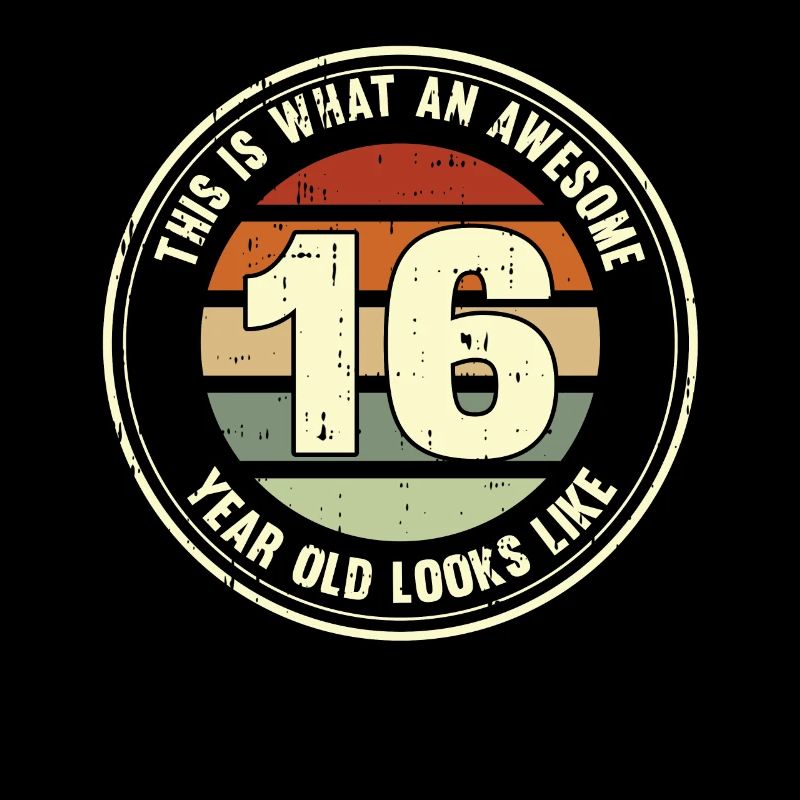 16th birthday so you see with 16 retro gift