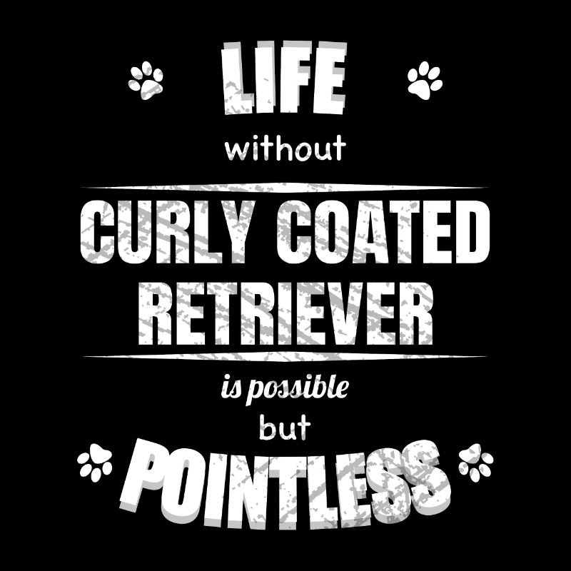 Life is possible pointless Curly Coated Retriever