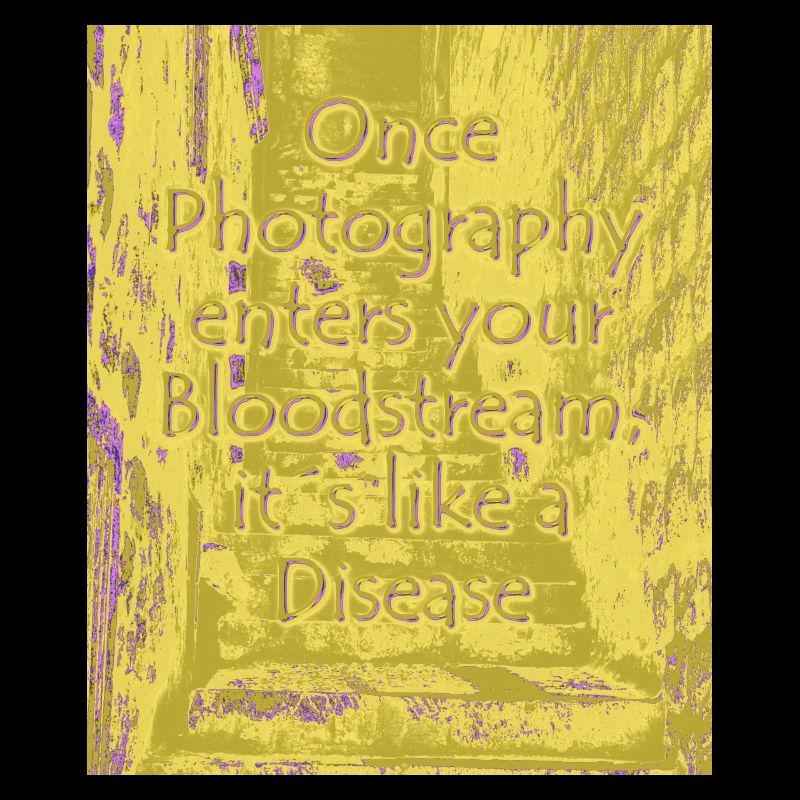phtotography disease olive
