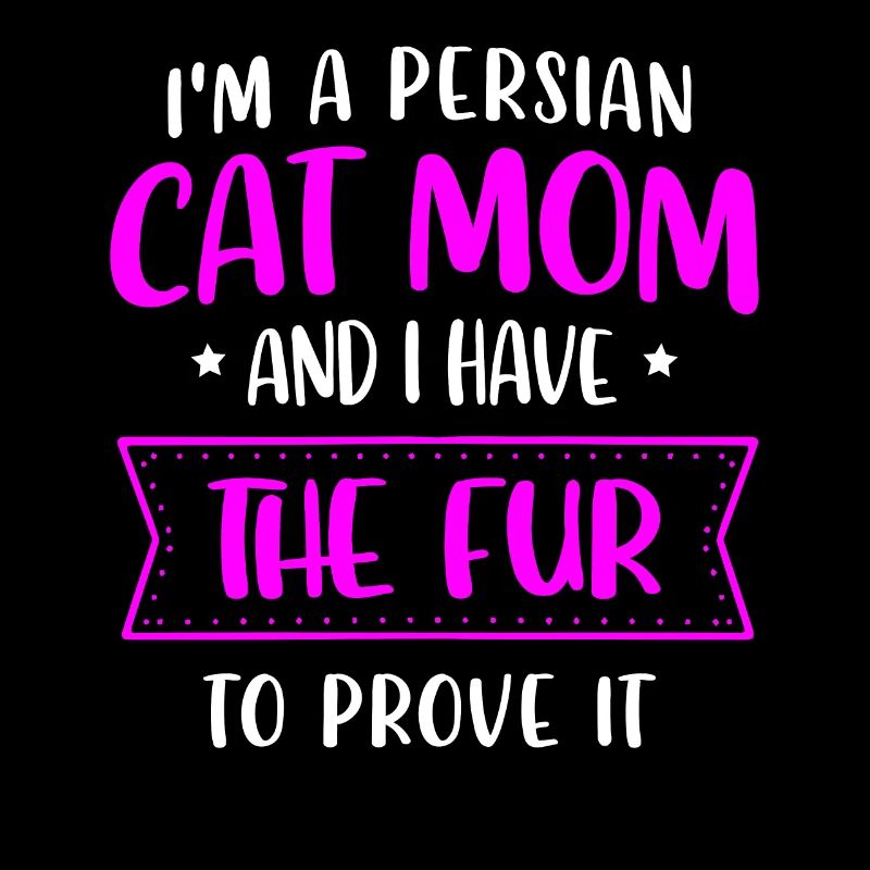 Chat persan Chat Amoureux Propriétaire de chat Persan Longhair C