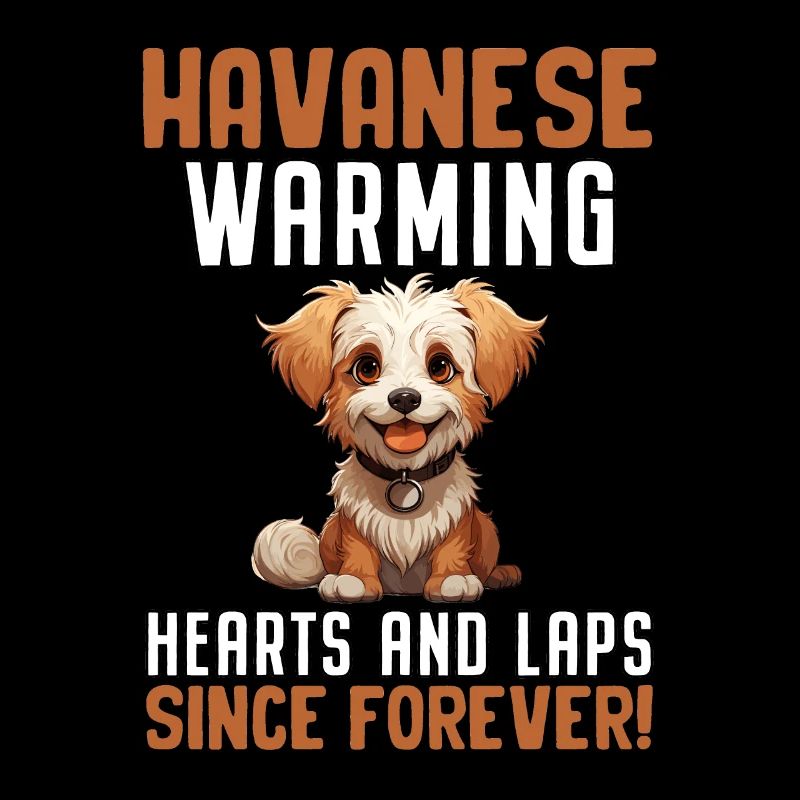 Havanese Warming Hearts and Laps since forever
