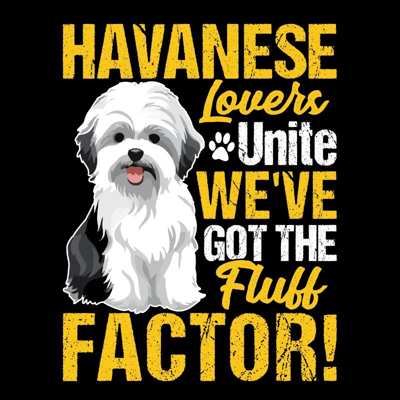 Havanese Lovers Unite we've got the fluff factor