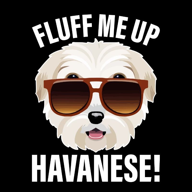 Fluff me up Havanese