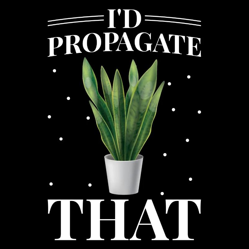 Sansevieria plant lovers, I would