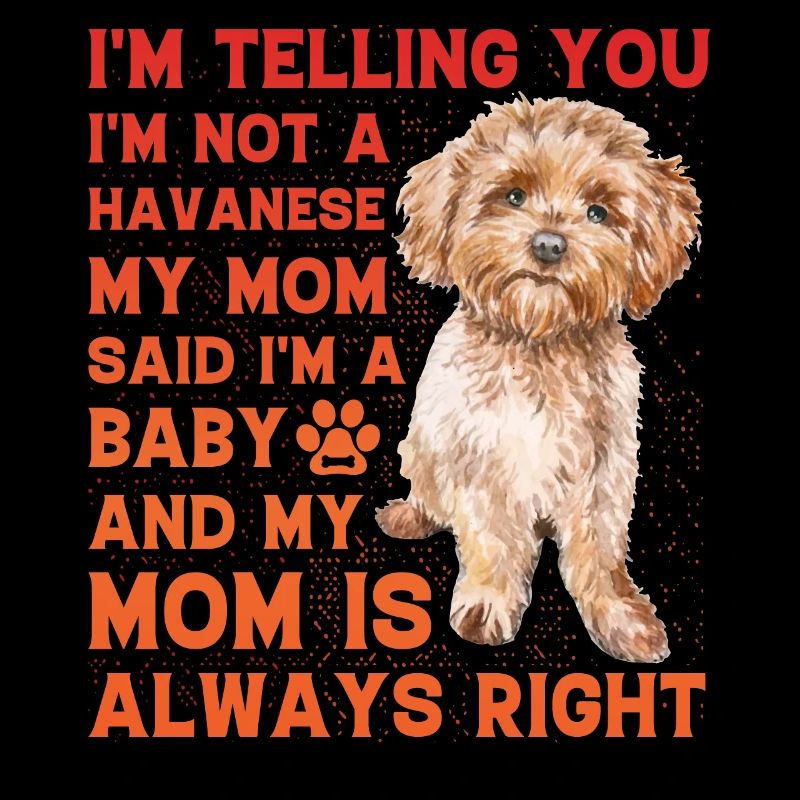 Havanese Lustiger Spruch