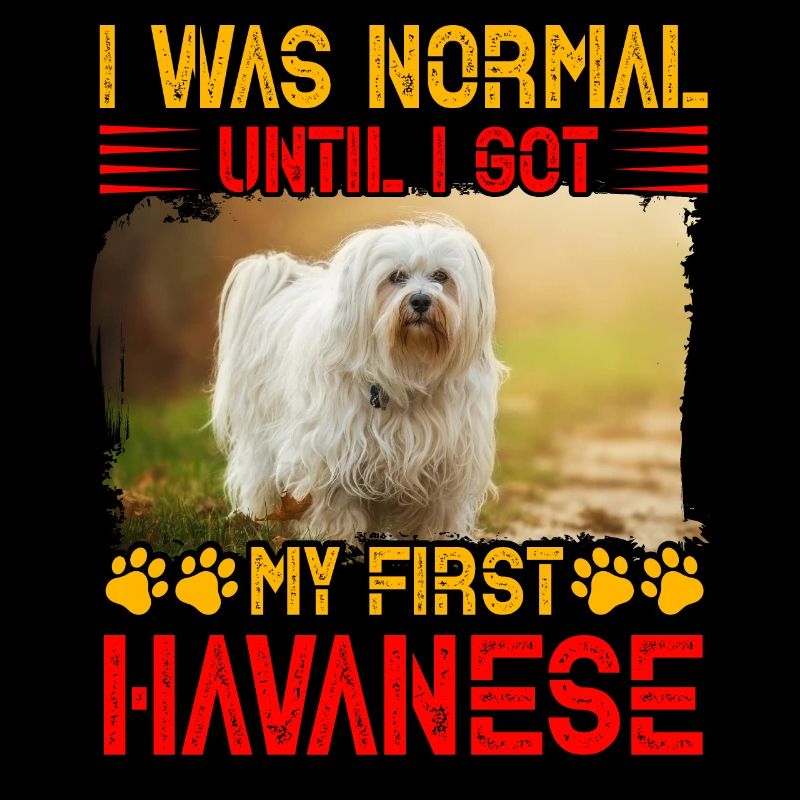 I was normal until I got my first Havanese