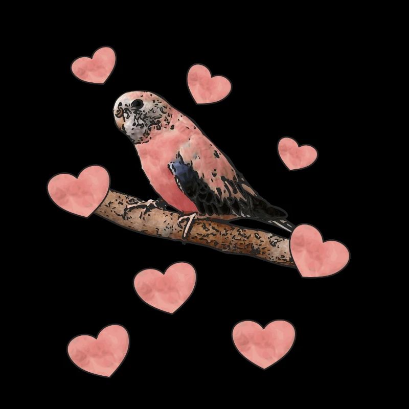 Rose Bellied Parakeet, Bourke Parakeet with Hearts