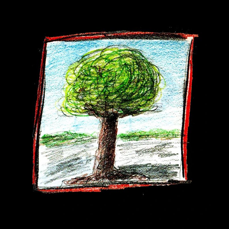 Tree 1