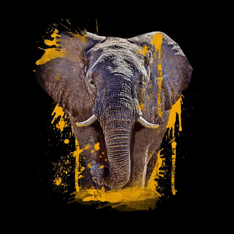 Elephant Head Animal Proboscis Elephant