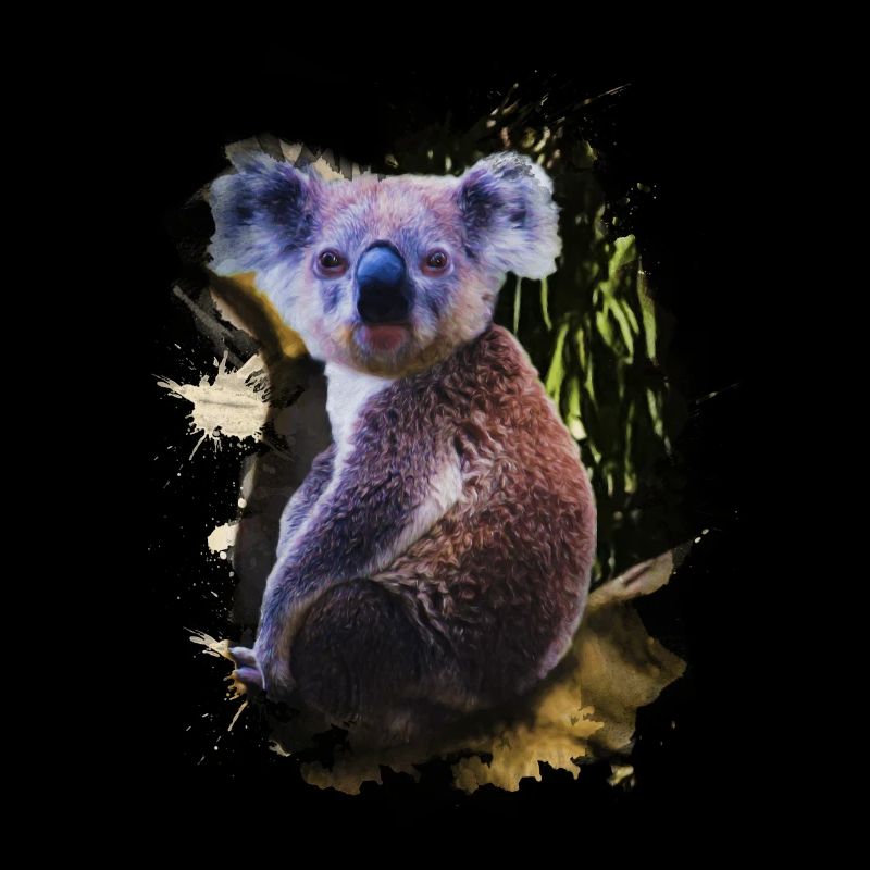 Australien Bambusfresser Beuteltier Koala