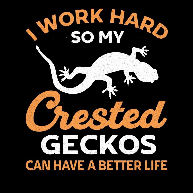 Kronengecko Crested Gecko Doppelfingergecko