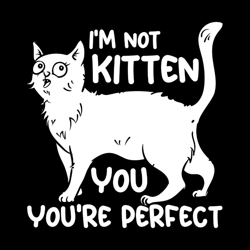Je ne suis pas un chaton, tu es parfait
