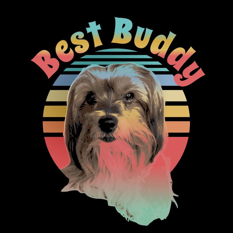 Biewer Terrier , bester Freund