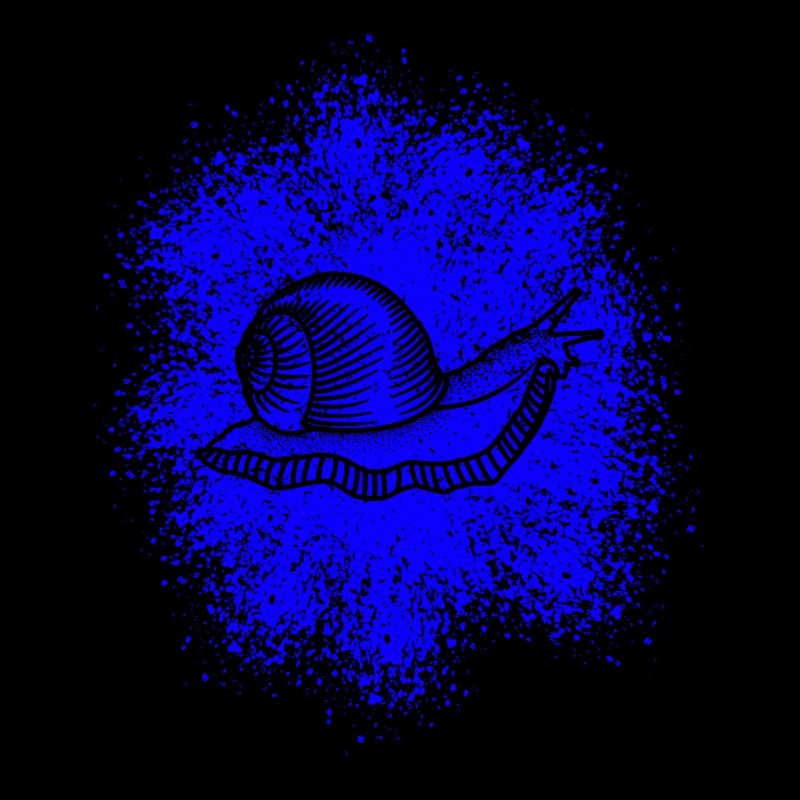 Snail with snail shell