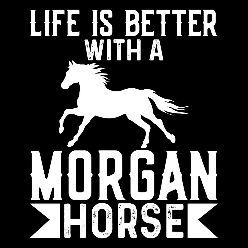 Life Is Better With A Morgan Horse