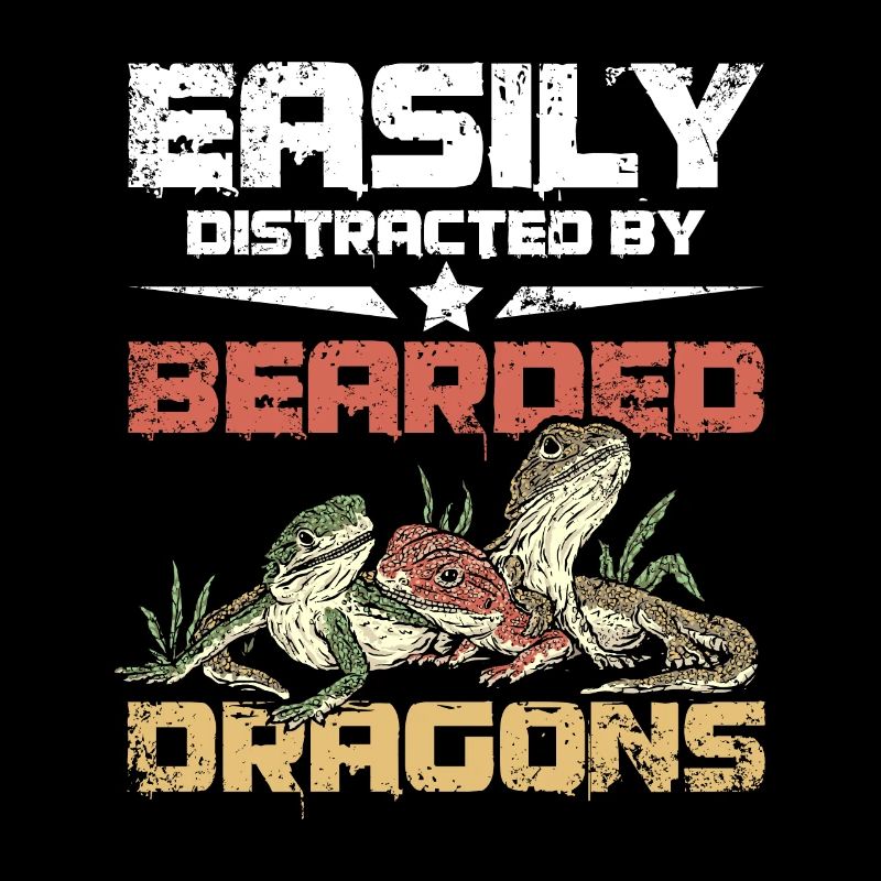 Easily distracted by bearded dragons