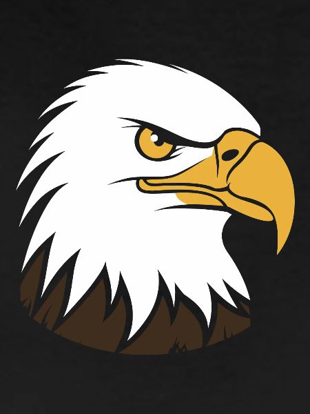 Eagle Bird
