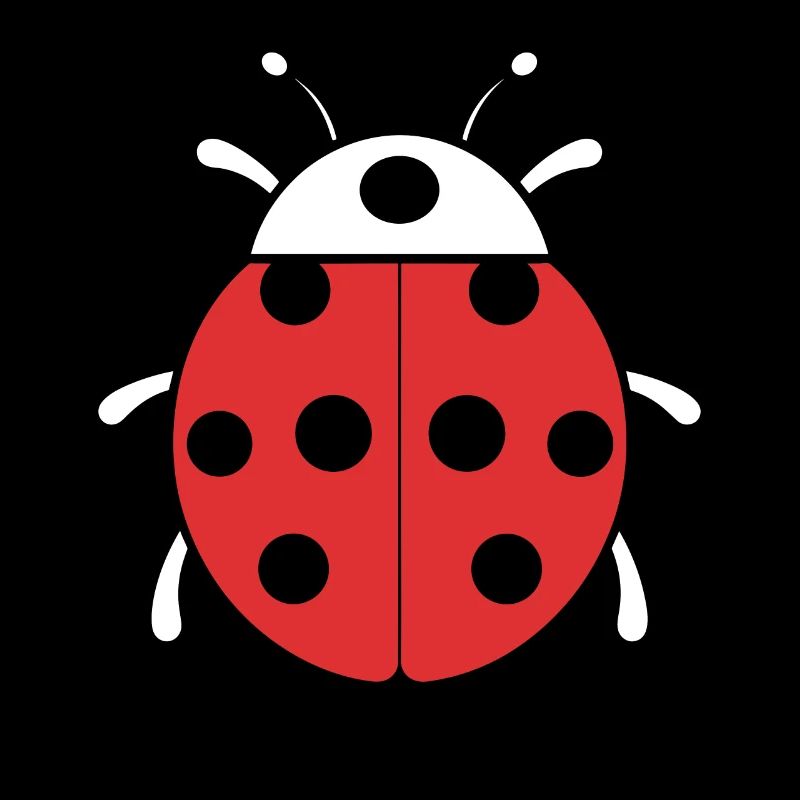 Little Ladybug