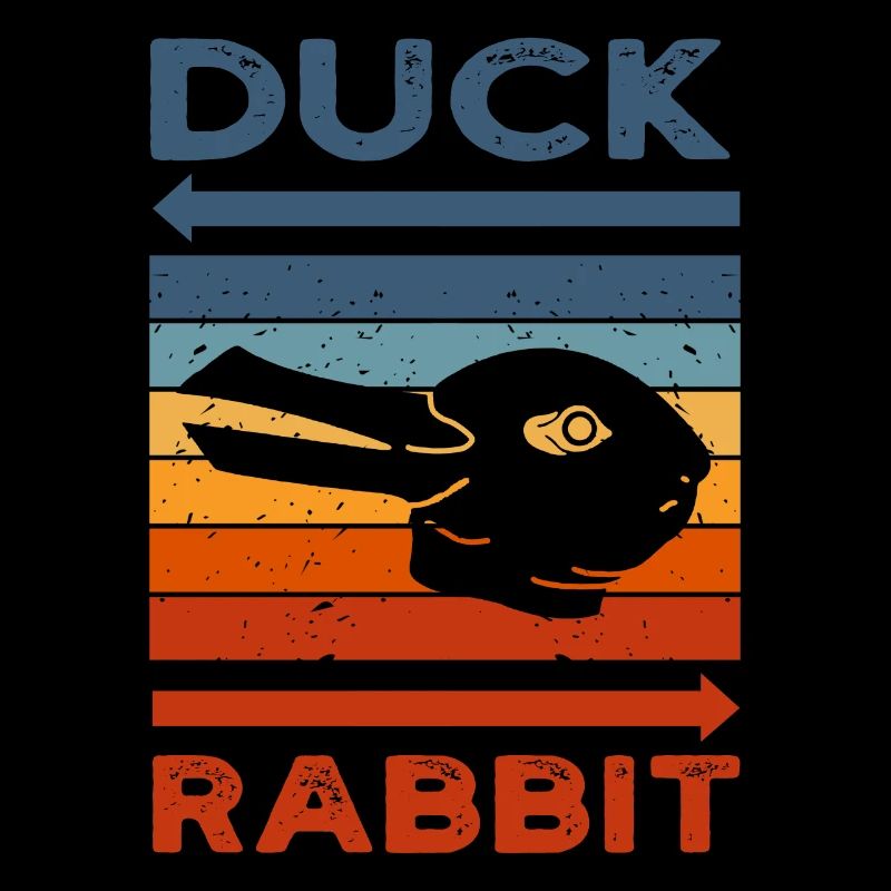 Wittgensteins Rabbit Duck Illusion