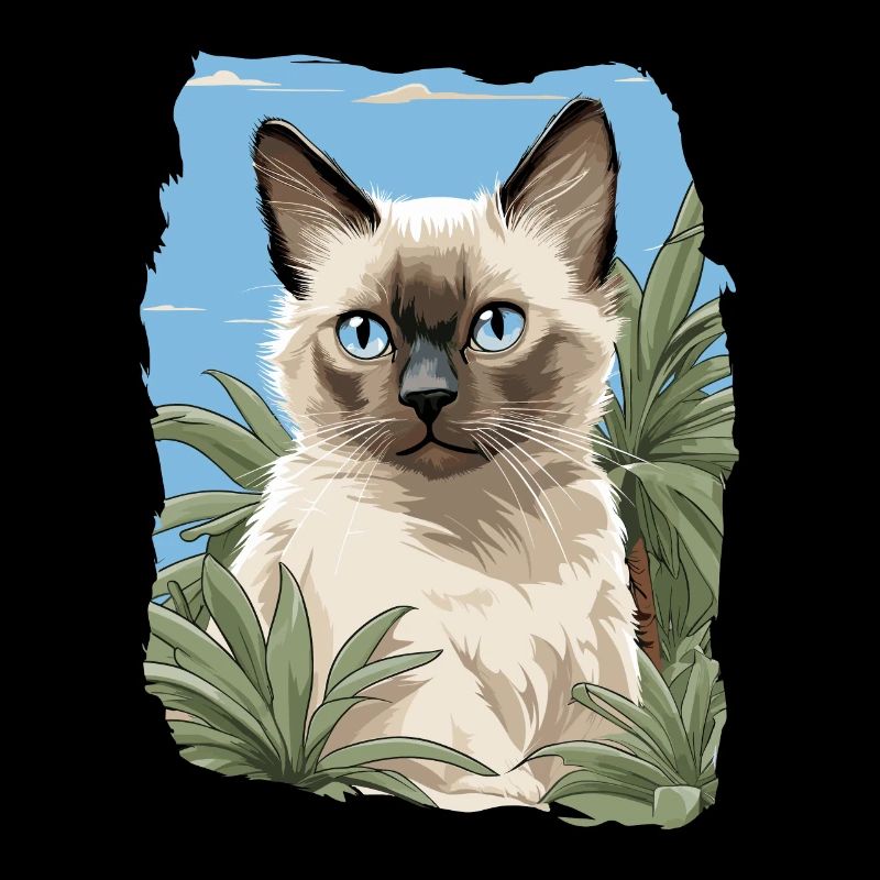 Chat balinais Balinesenkatze