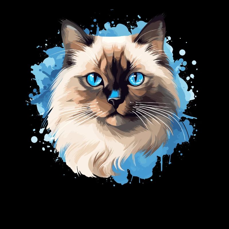 Birman Cat Birma Katze