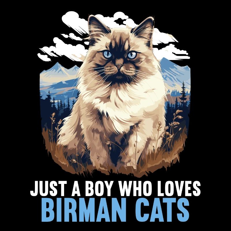Chat de Birmanie Birma Katze