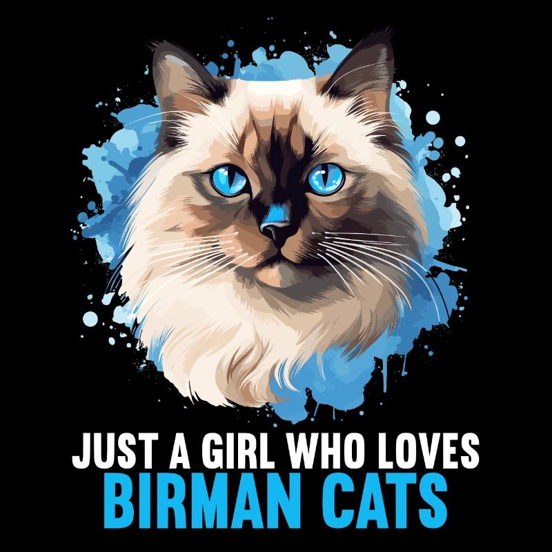 Birman Cat Birma Katze