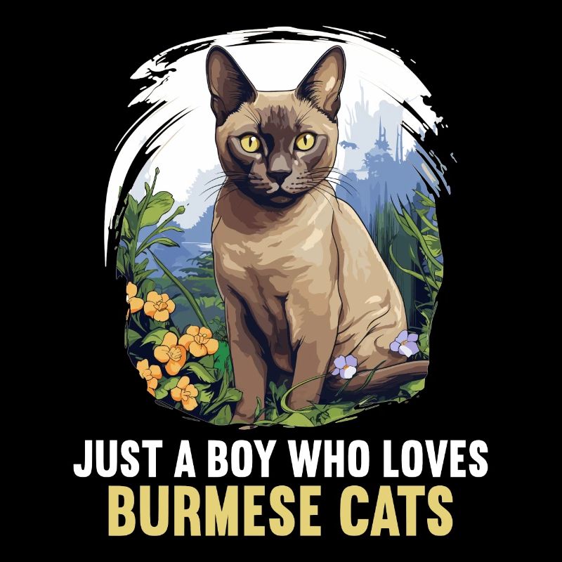 Chat birman Birmanie Katze