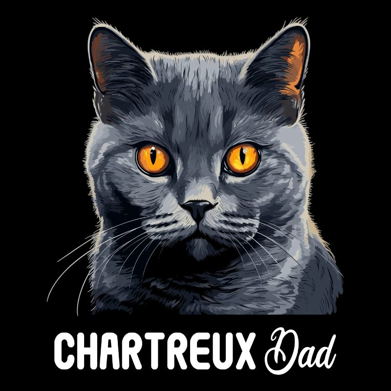 Chat Chartreux Chat Chartreux