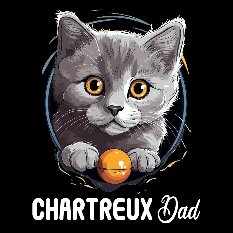 Chat Chartreux Chat Chartreux
