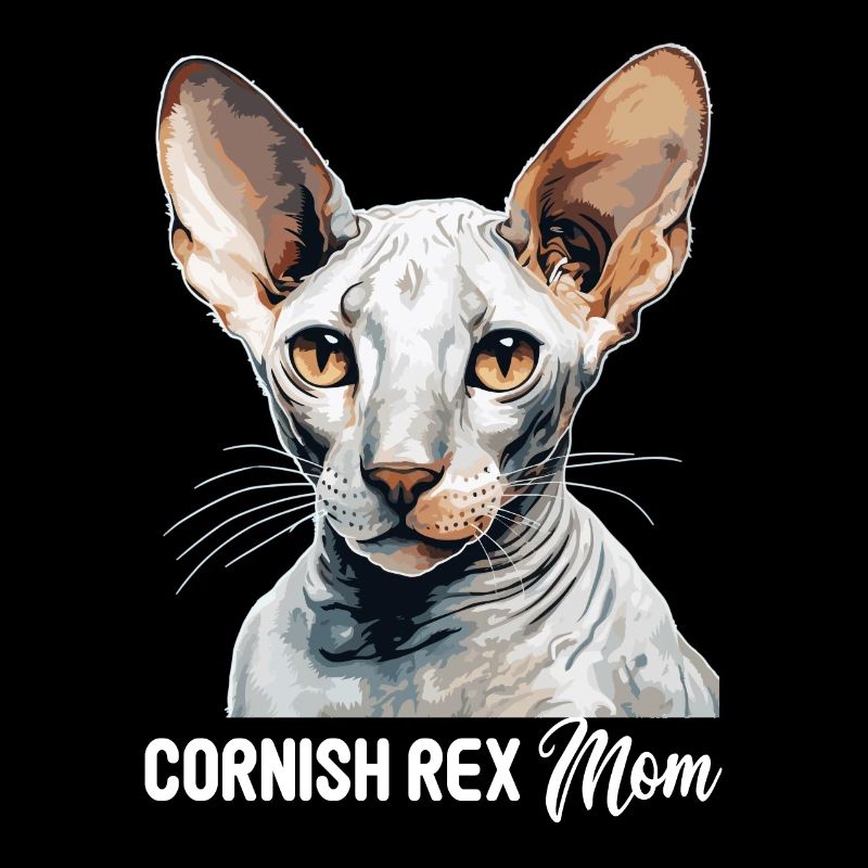 Chaton Cornish Rex Chat Cornish Rex