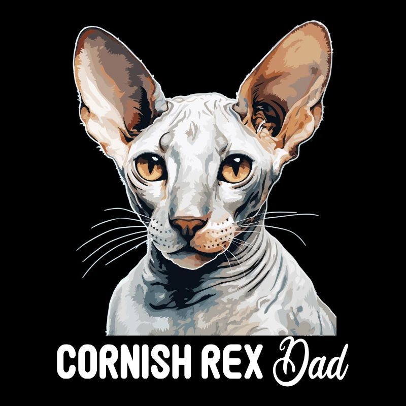Chaton Cornish Rex Chat Cornish Rex
