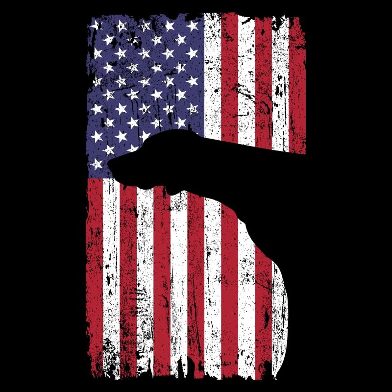 Braque de Weimar avec drapeau des États-Unis