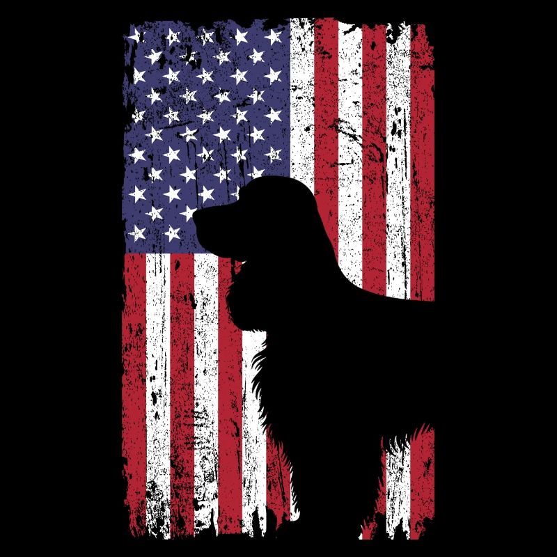 Cocker Spaniel Hund mit USA Flagge