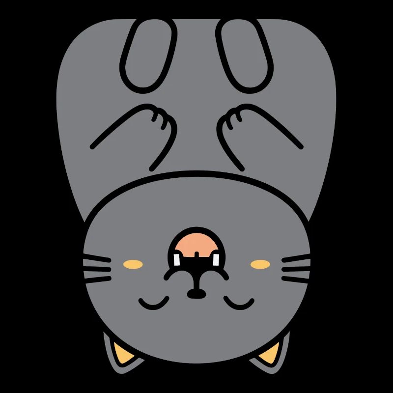 Chartreux petit chat