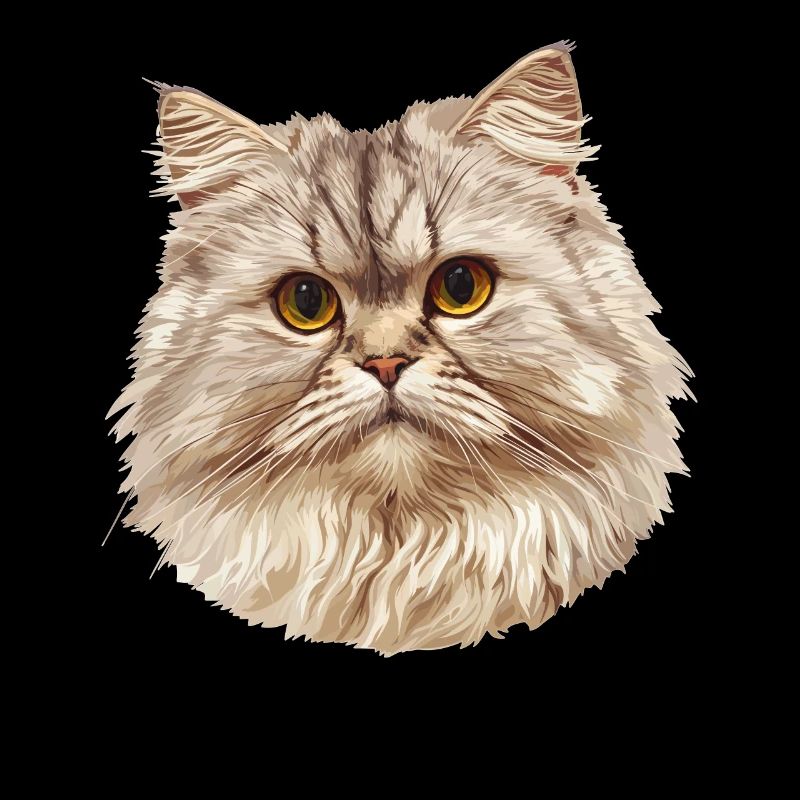 Ragamuffin Kätzchen Ragamuffin Katze