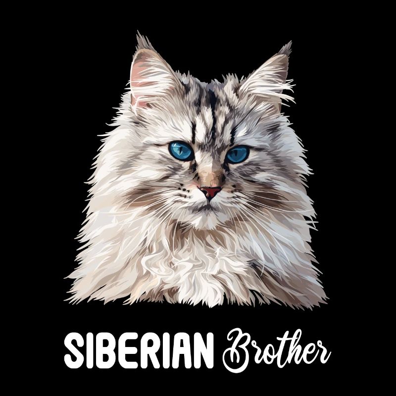 Chat Sibérien Sibirische Katze