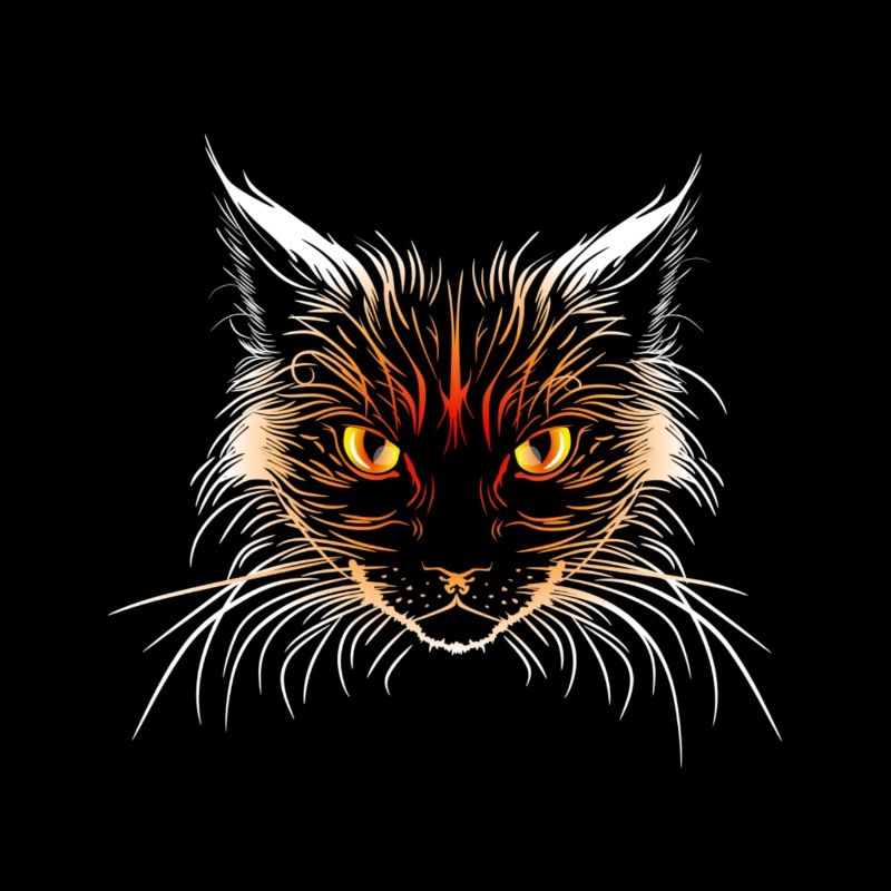 Tête de chat orange