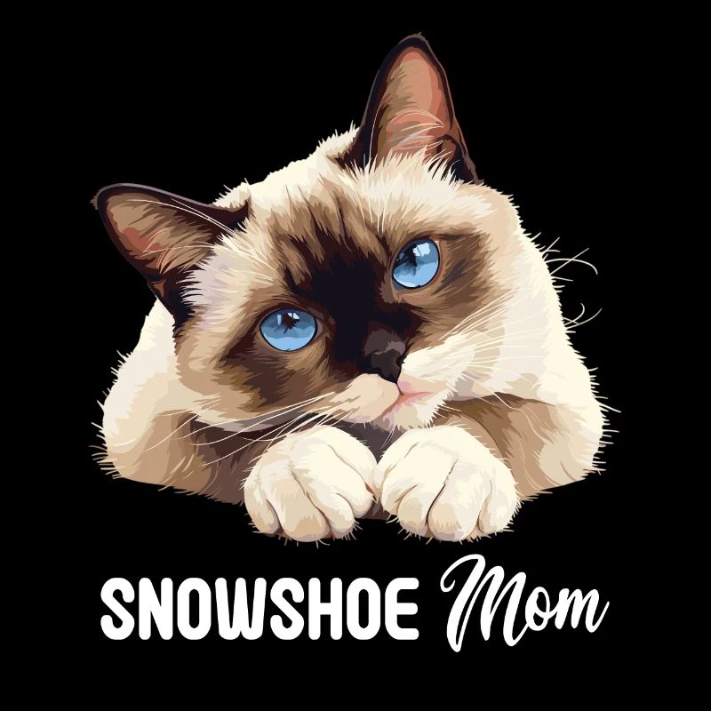 Snowshoe Kitten Snowshoe Cat
