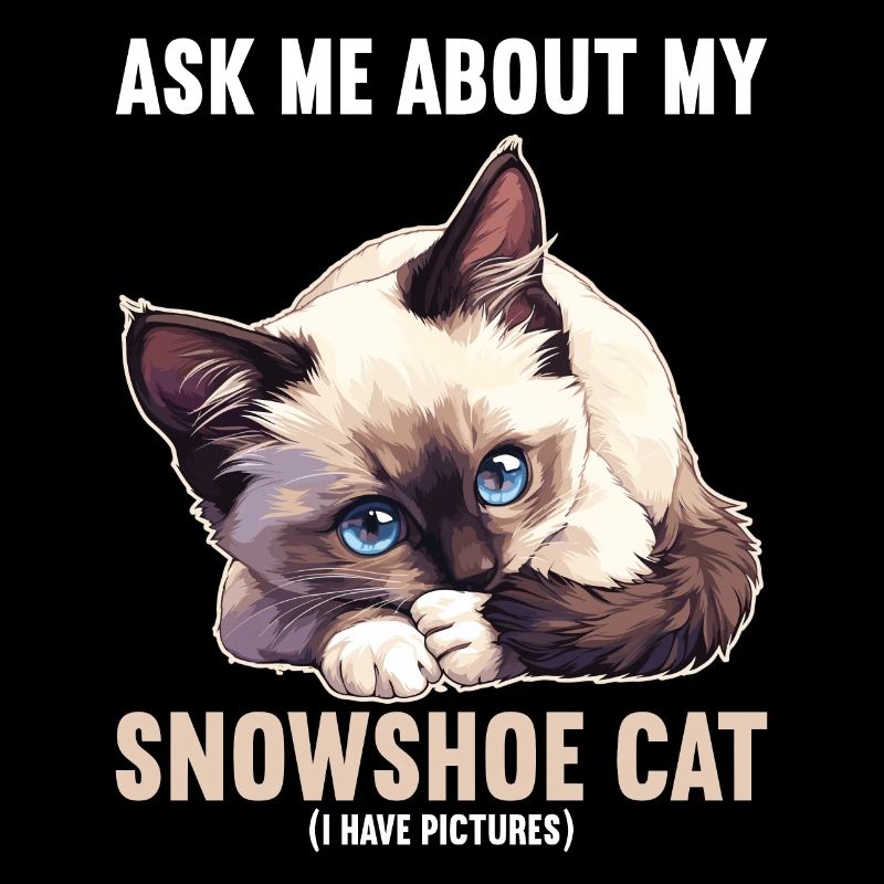 Snowshoe Kitten Snowshoe Cat