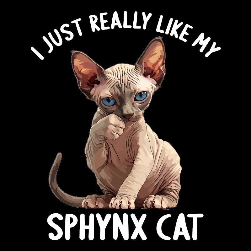 Chaton Sphynx Chat Sphynx