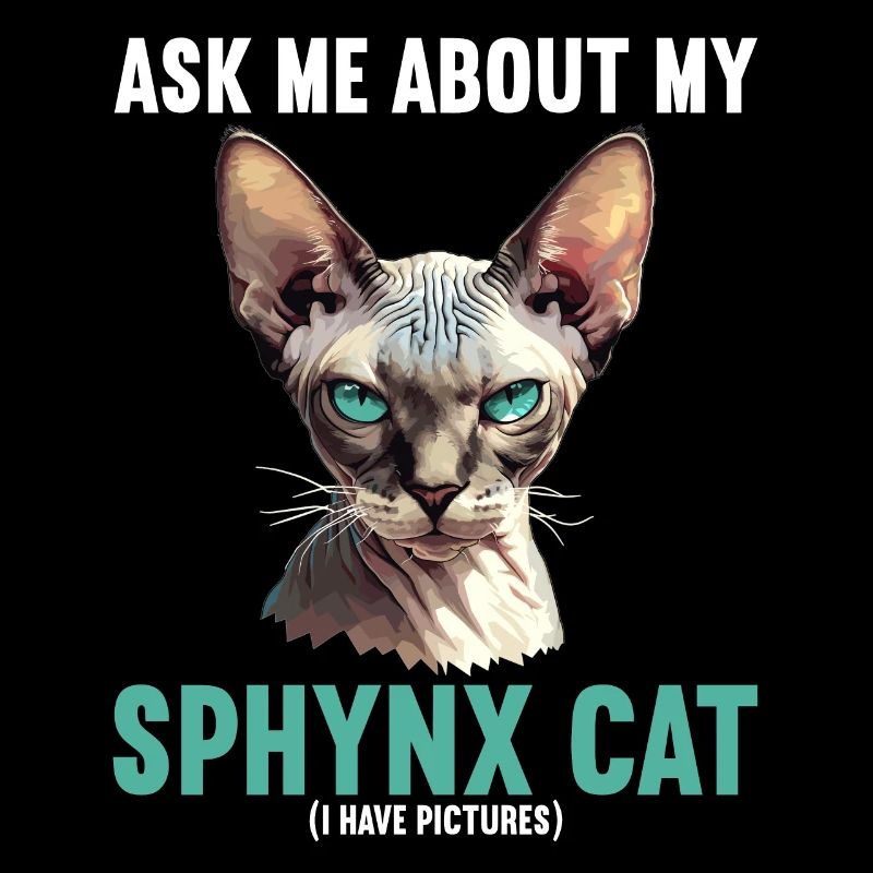 Sphynx Kätzchen Sphynx Katze