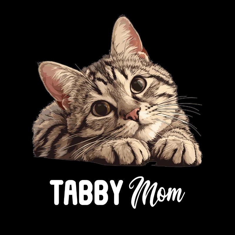 Tabby Kätzchen Tabby Katze