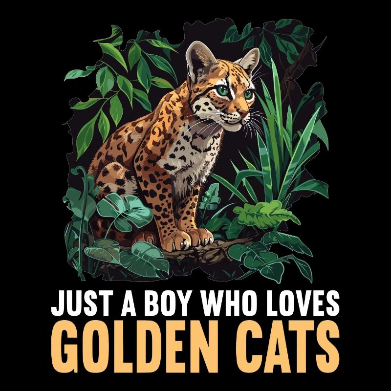 Chats dorés Chat doré