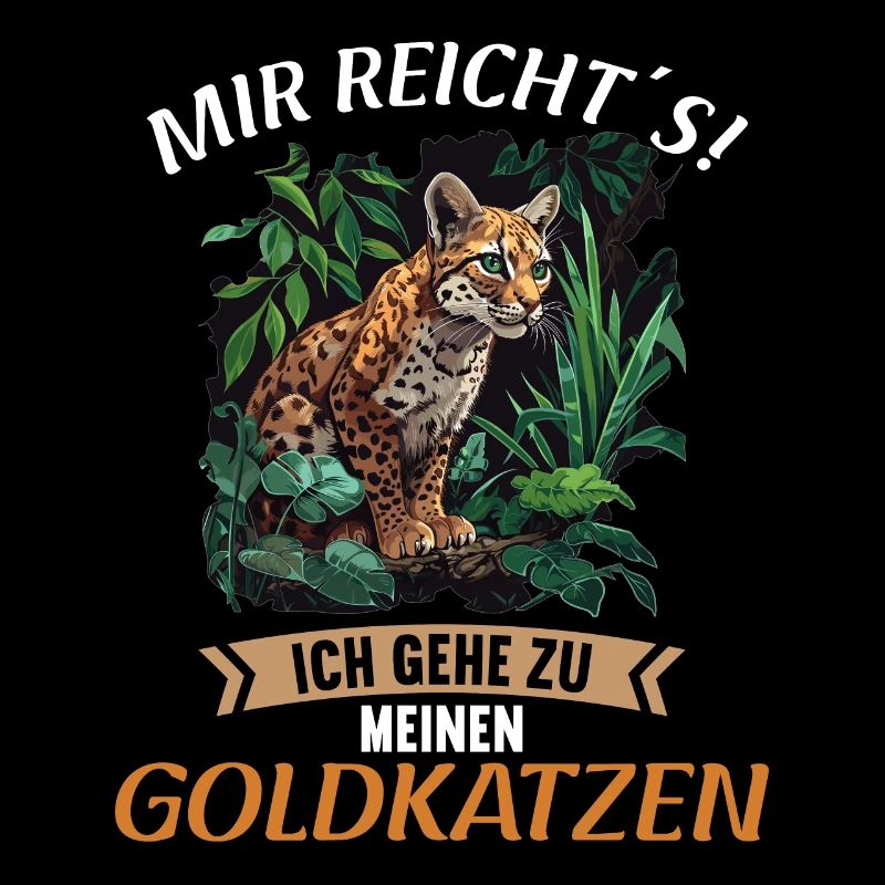 Chats dorés Chat doré